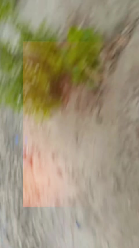 @Musa bhai 324