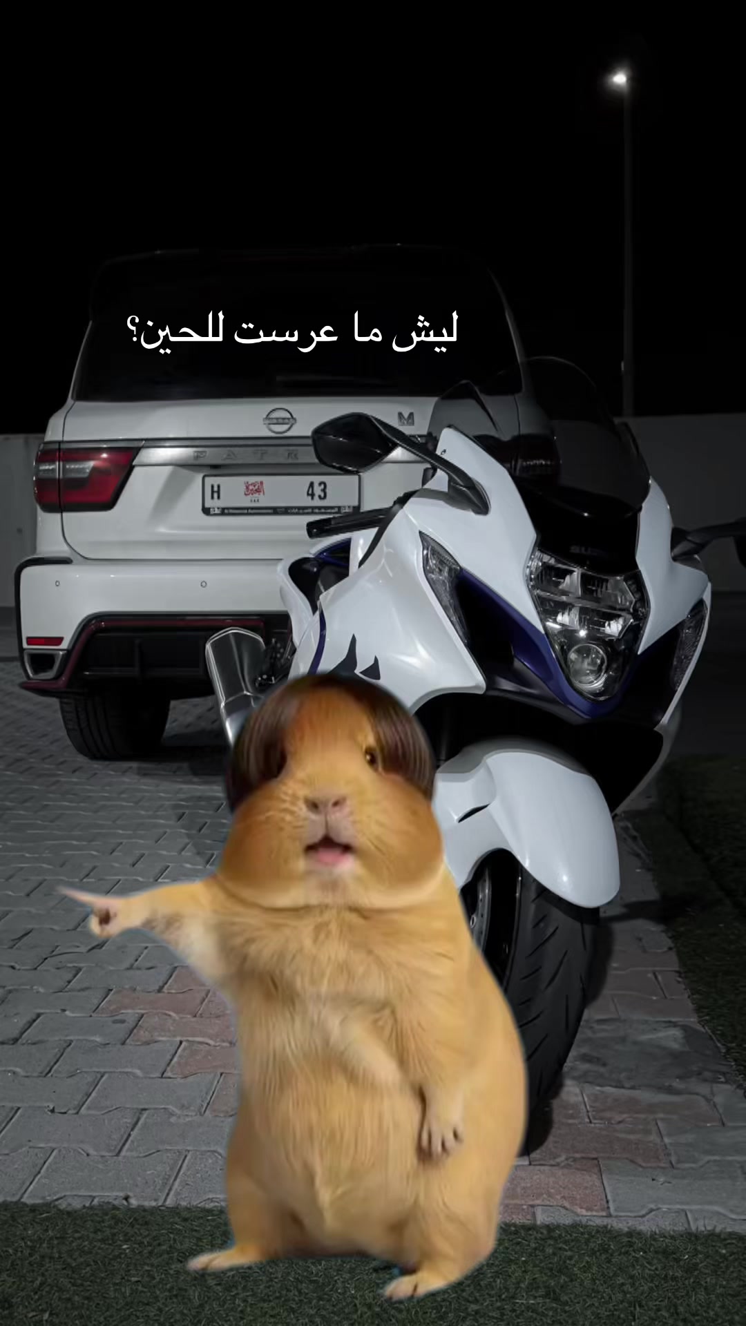 @Mohamed Alnaqbi ✨️