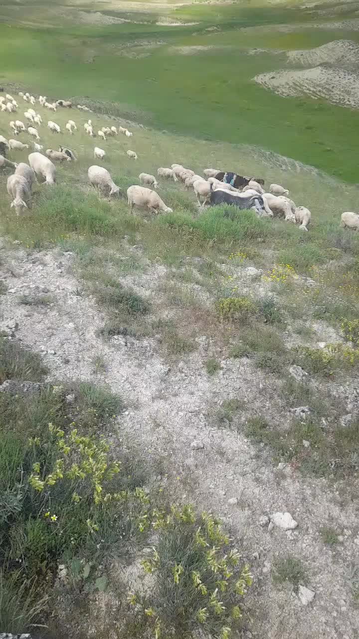 @💚💛🧡 خالمیرز ه