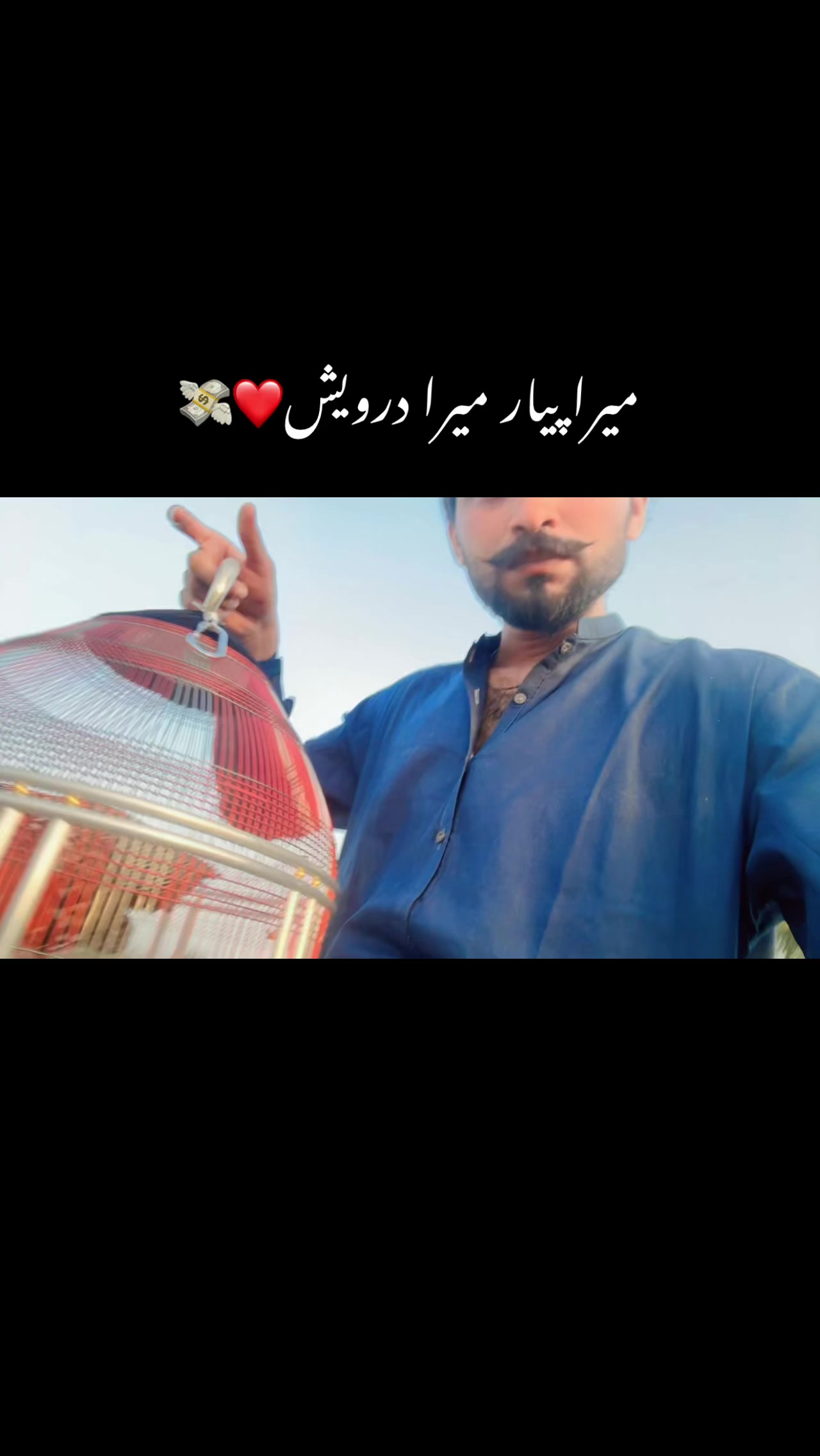 @Murshad Faxxi🔥💸(تیتری)