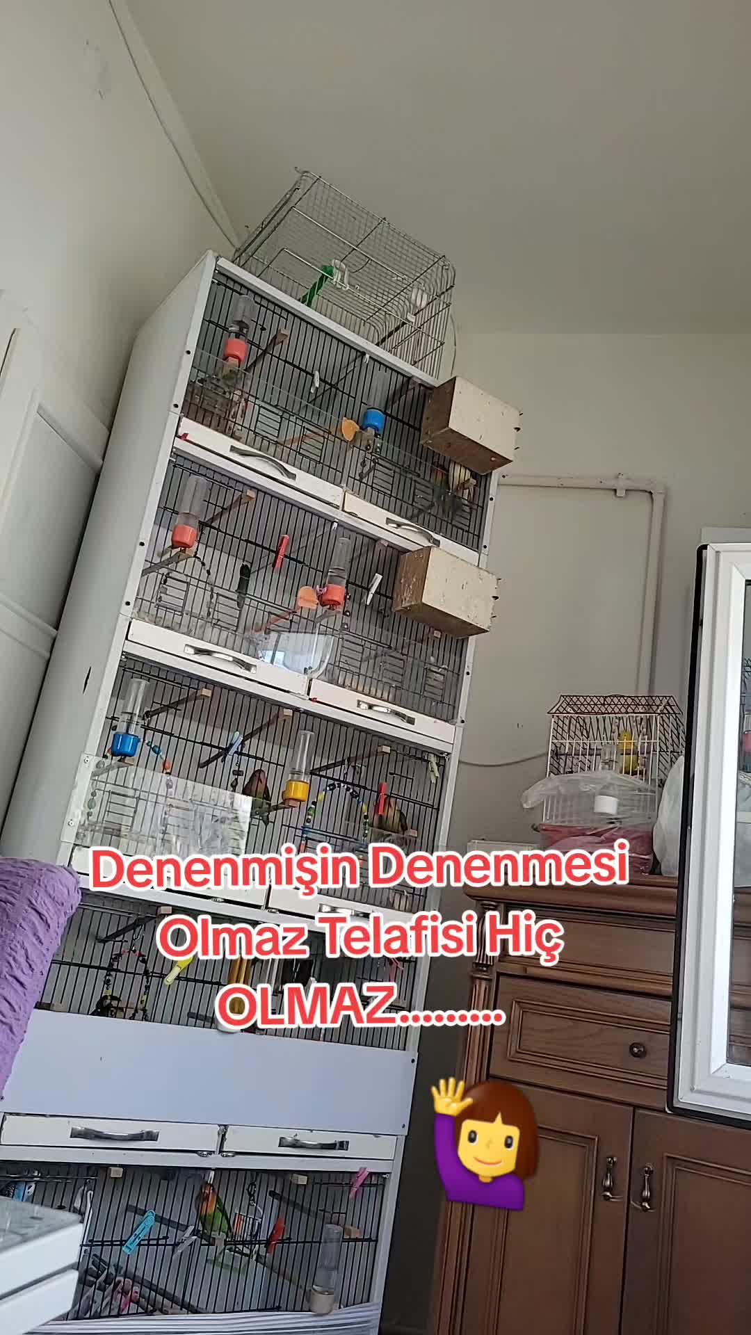 @HAYAT DEĞİL İNSANLAR ACIMASIZ