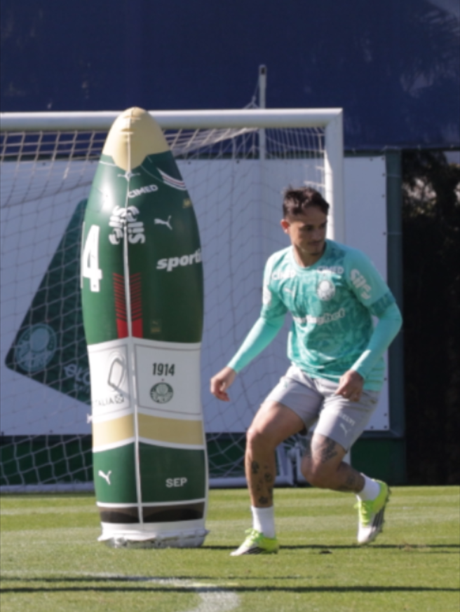 @SE Palmeiras