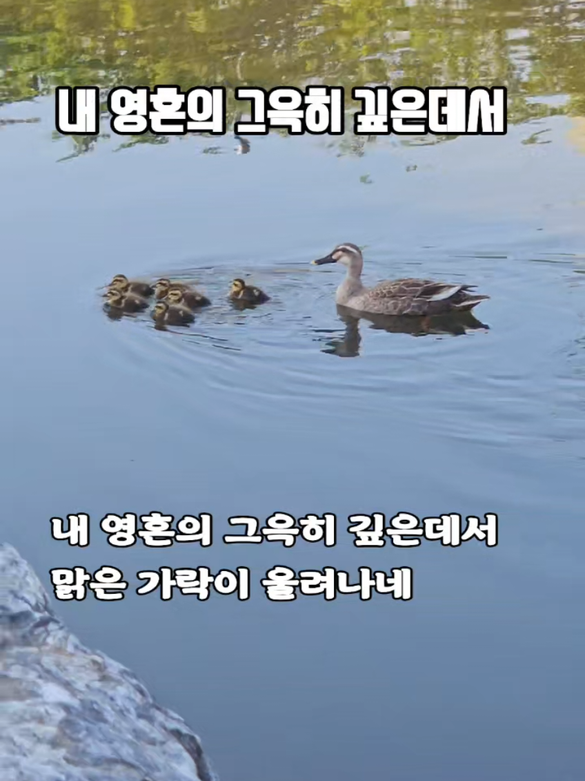 @복이🌲🌲🌲
