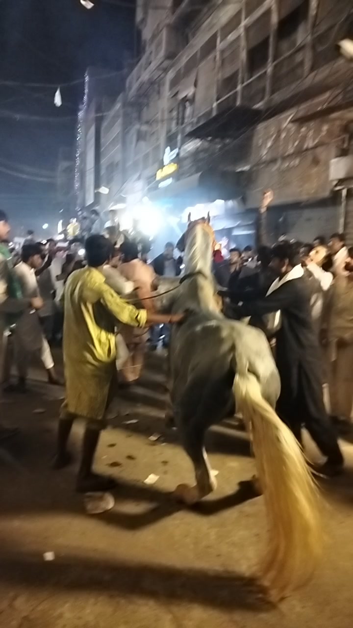@Habil Haroon