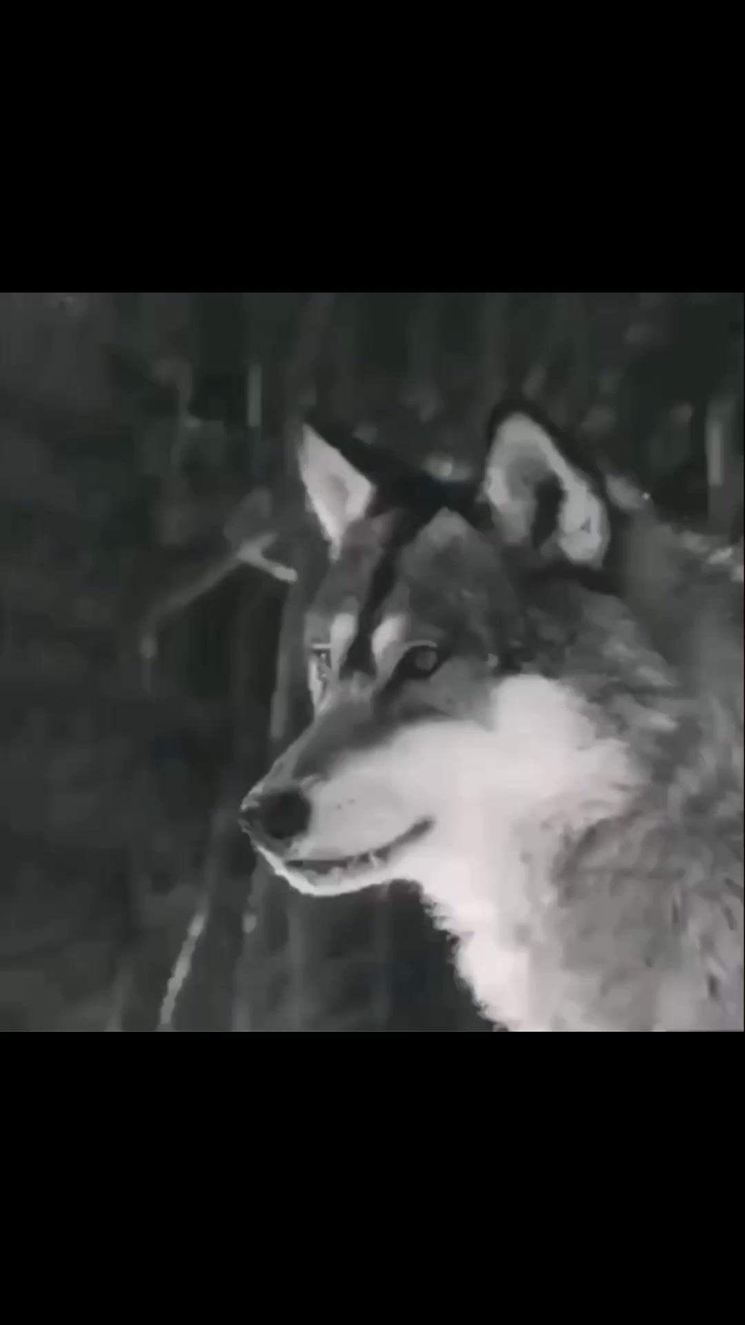 @перчинка