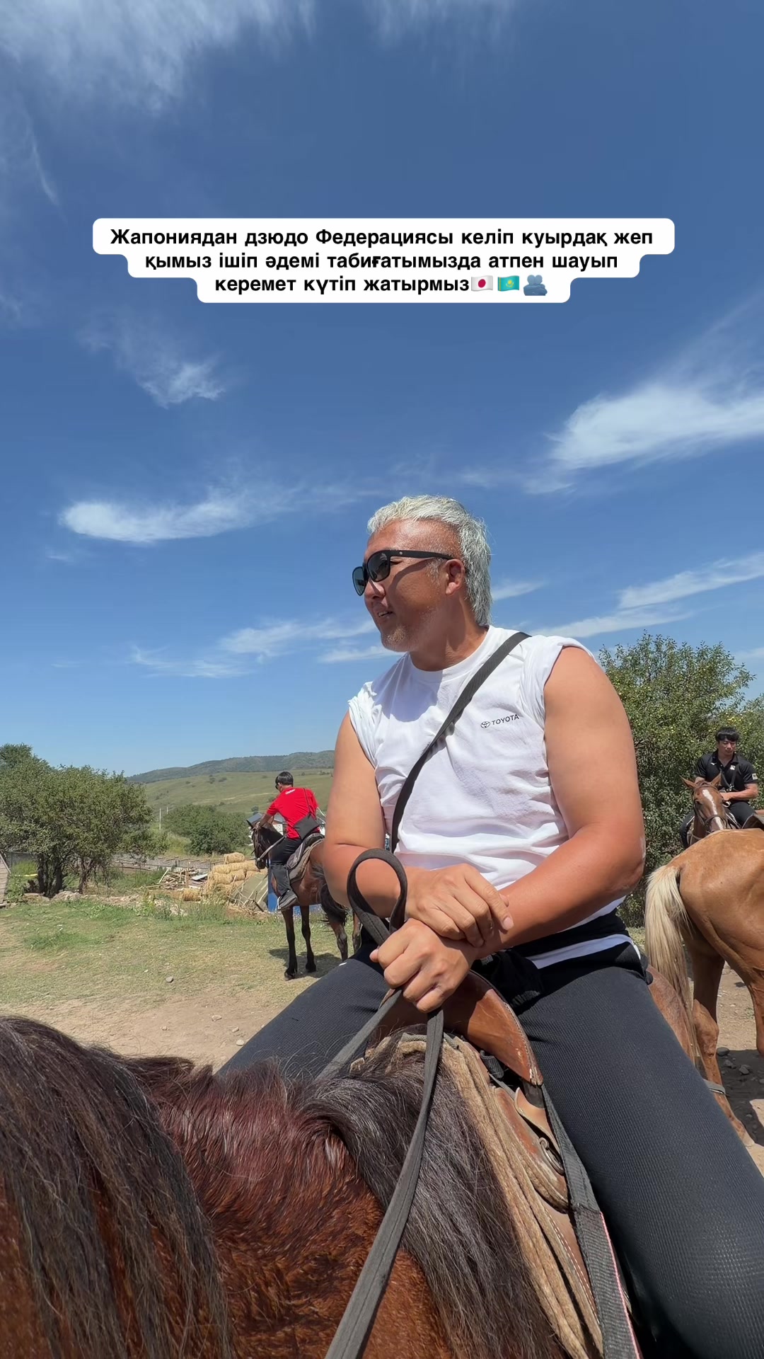 @tulpar_horses