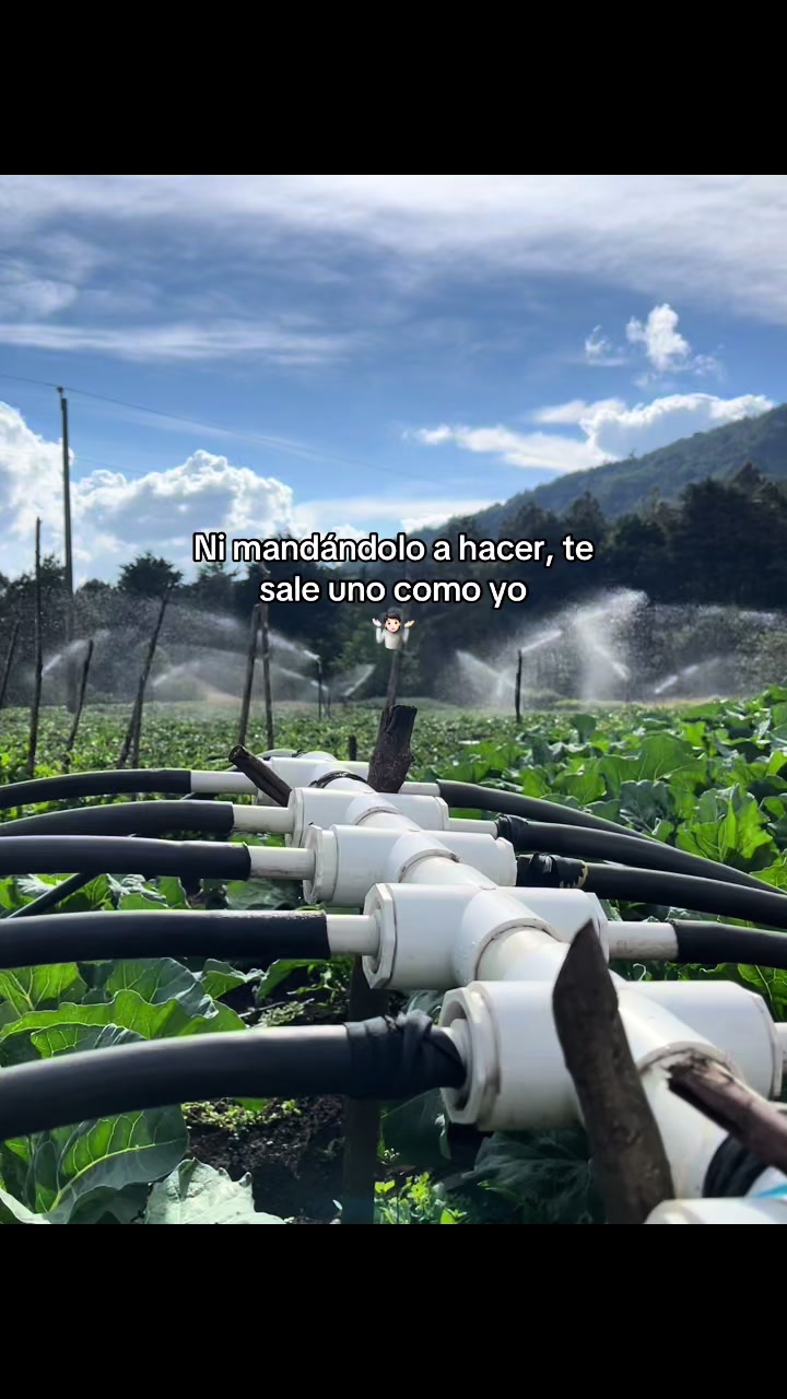 @Eduardo 🌱🚜