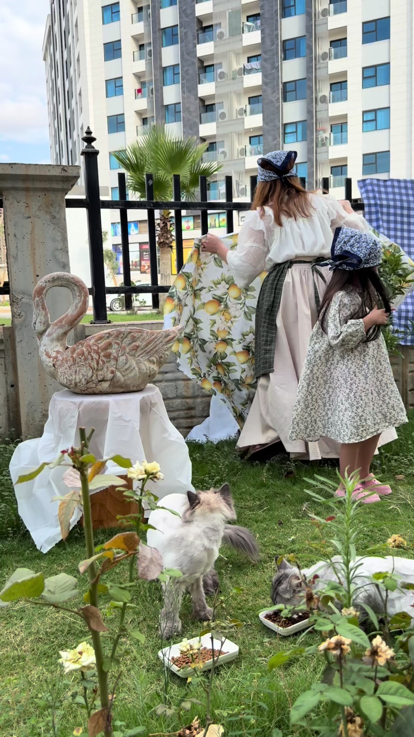 @دایکی هالە