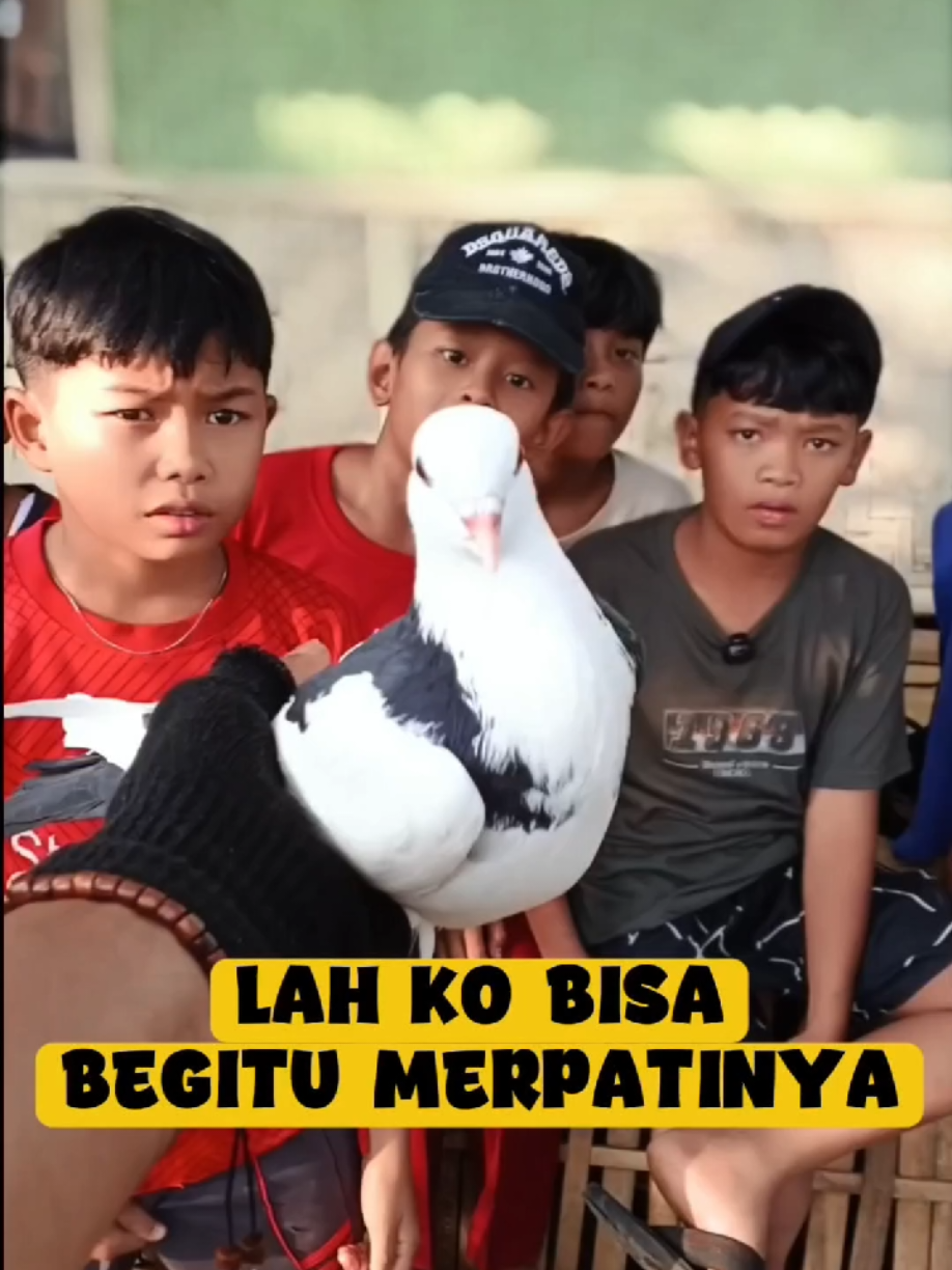 @BANG LEYON