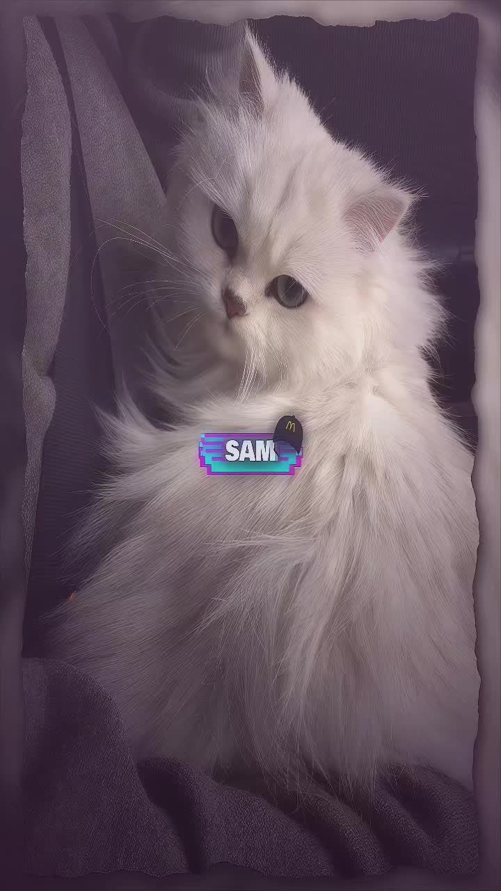 @Uzumaki Samsź 𝙂𝙂