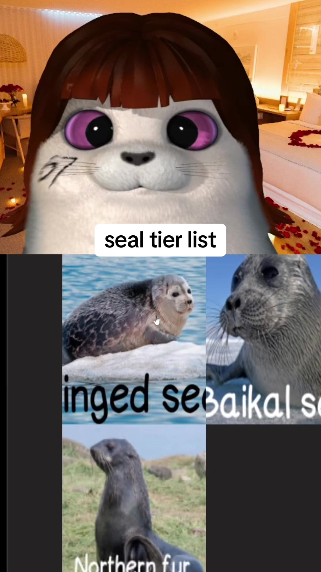 @тгк @yngbless