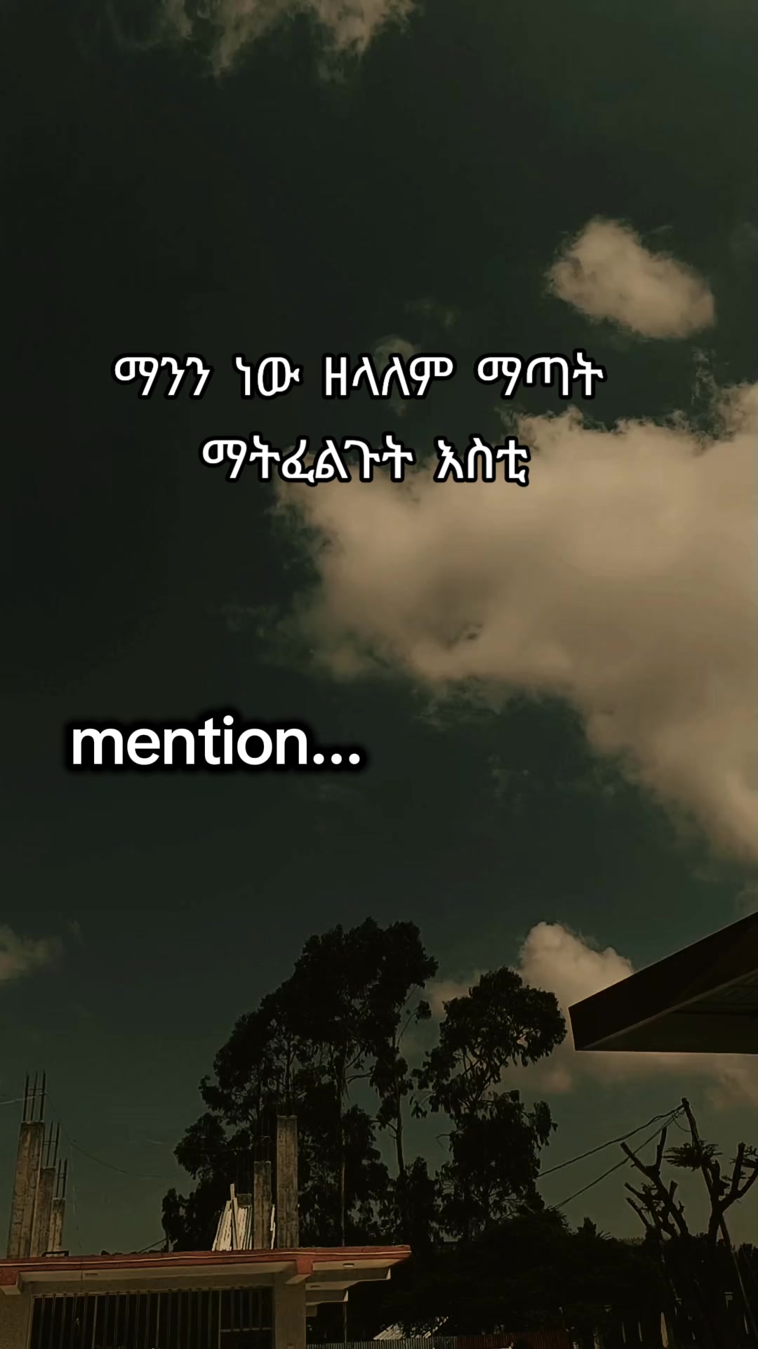 @โจ TEMU Quotes