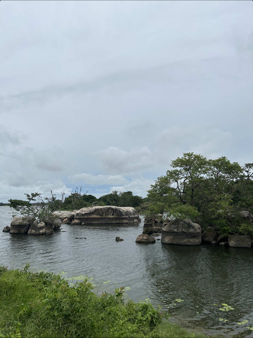 @Chamika Guruge