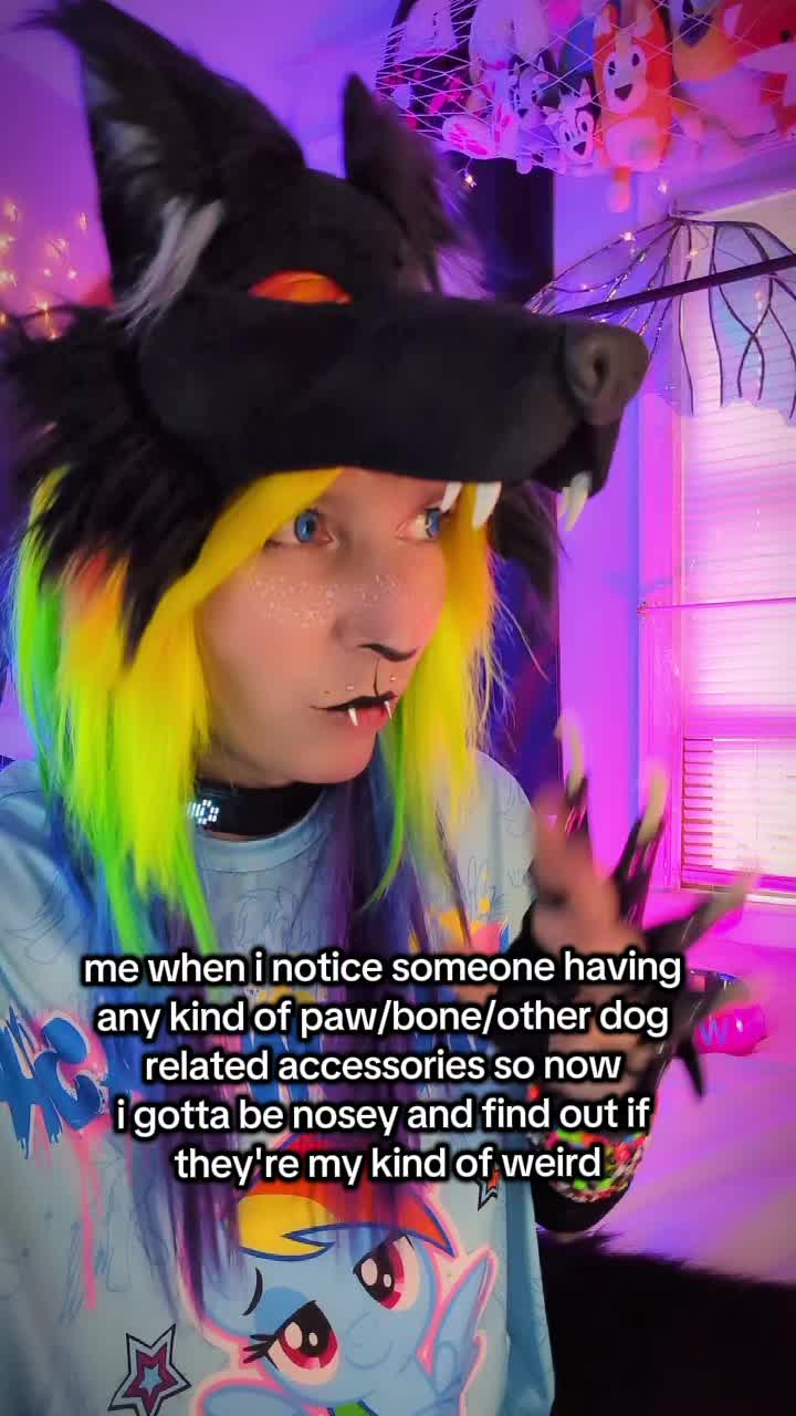 @Starlit Wolf