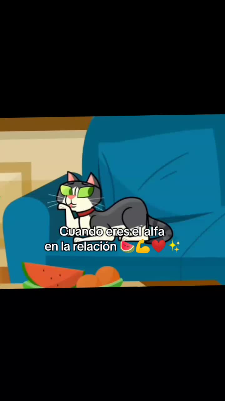 @campistanoaceptado