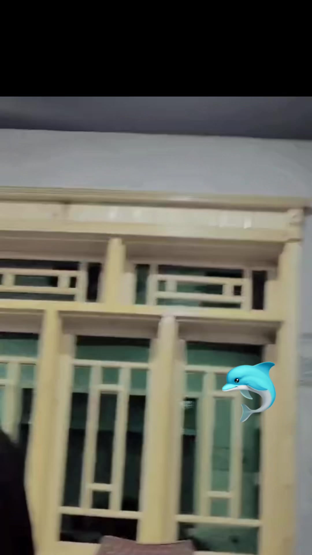 @LALLI P.B 🐬