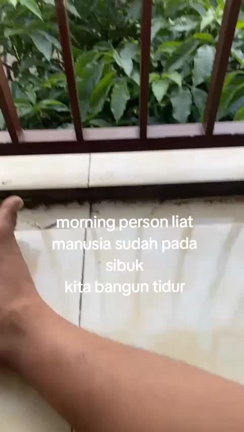 @Reza Must
