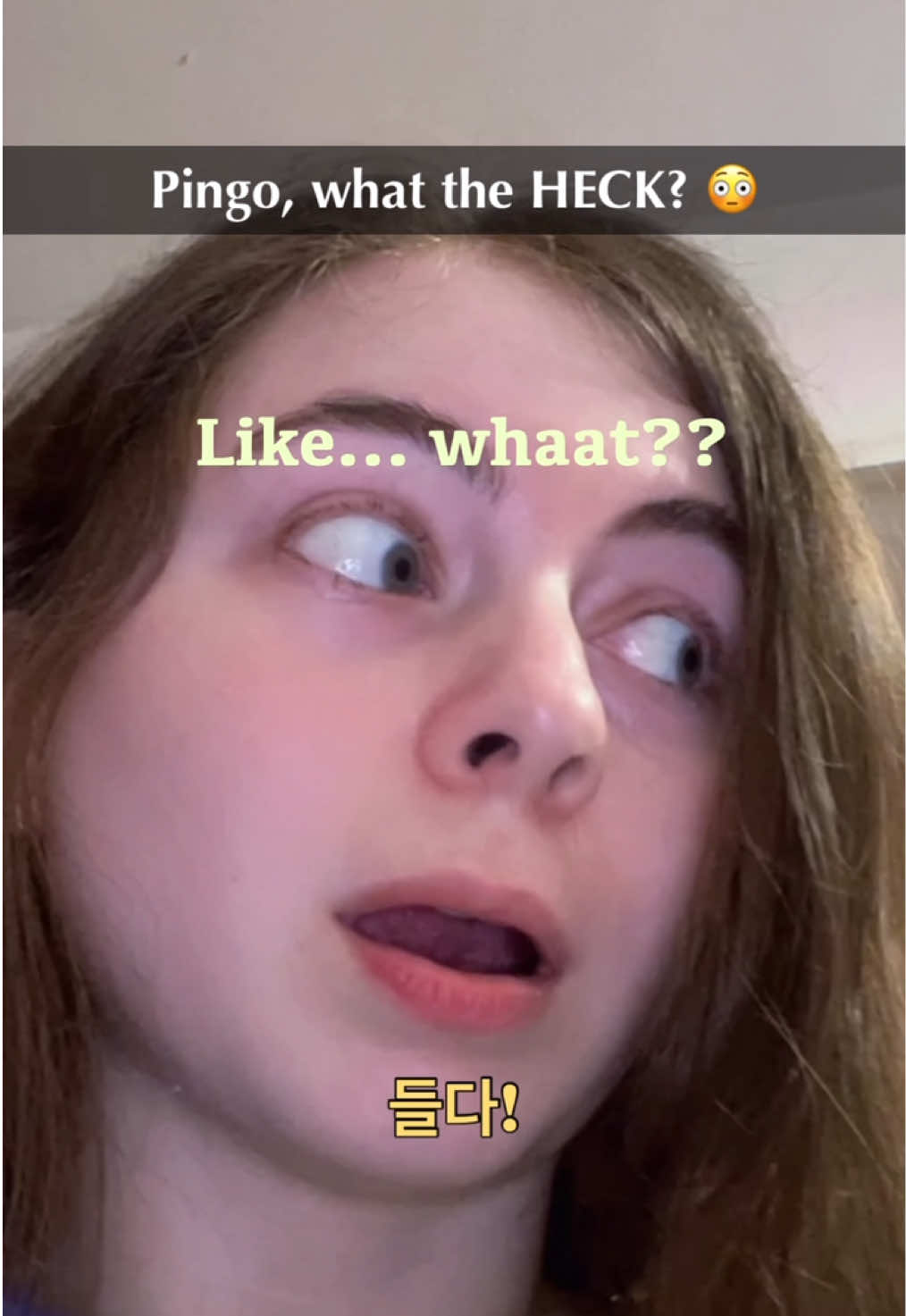 @Hangulbear