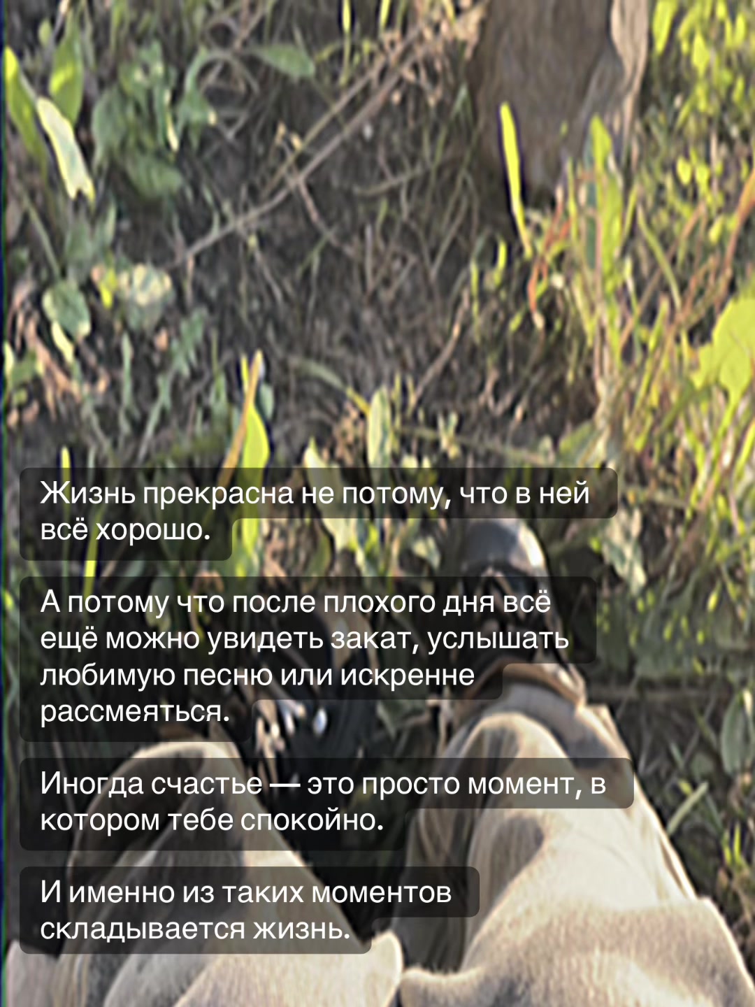 @Твой котёнок🐾