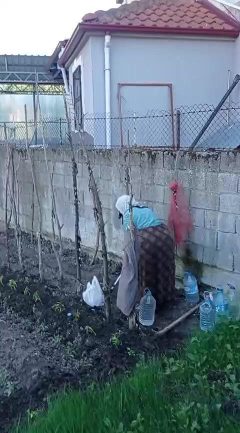 @Ali Gözsüz67