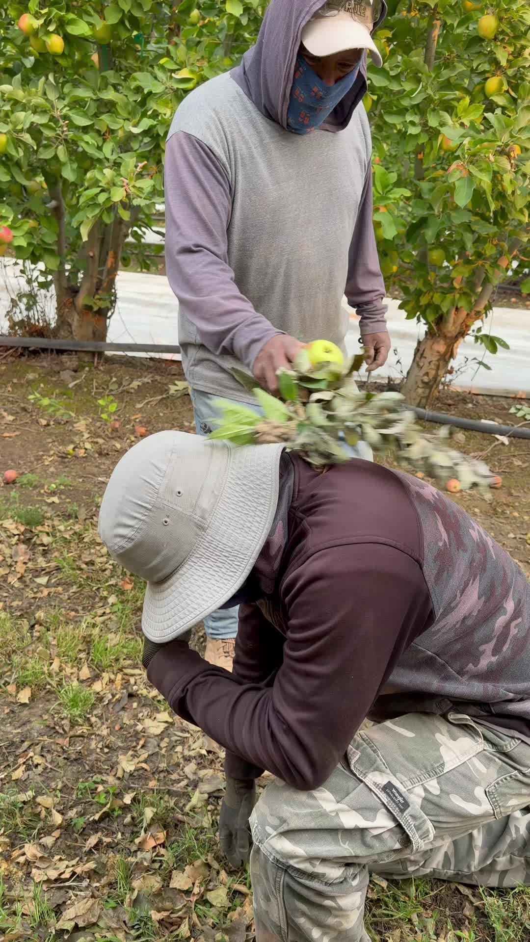 @Bocho y más