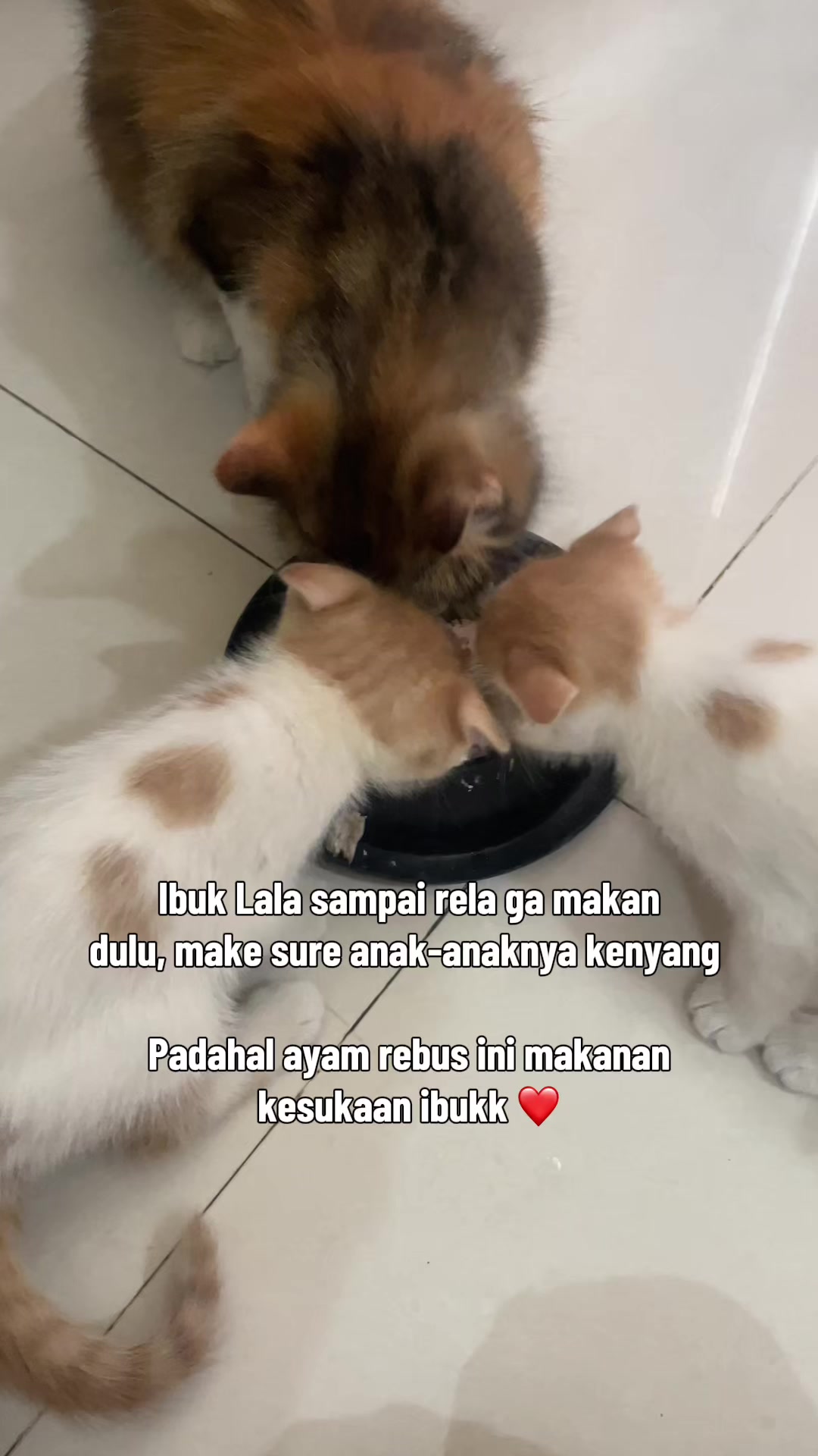 @biskuit&cimul
