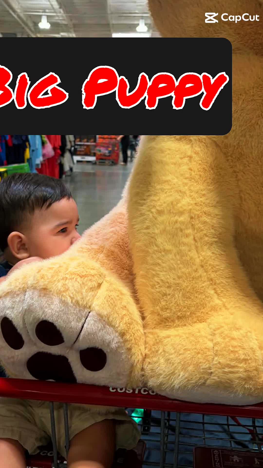 @Moni