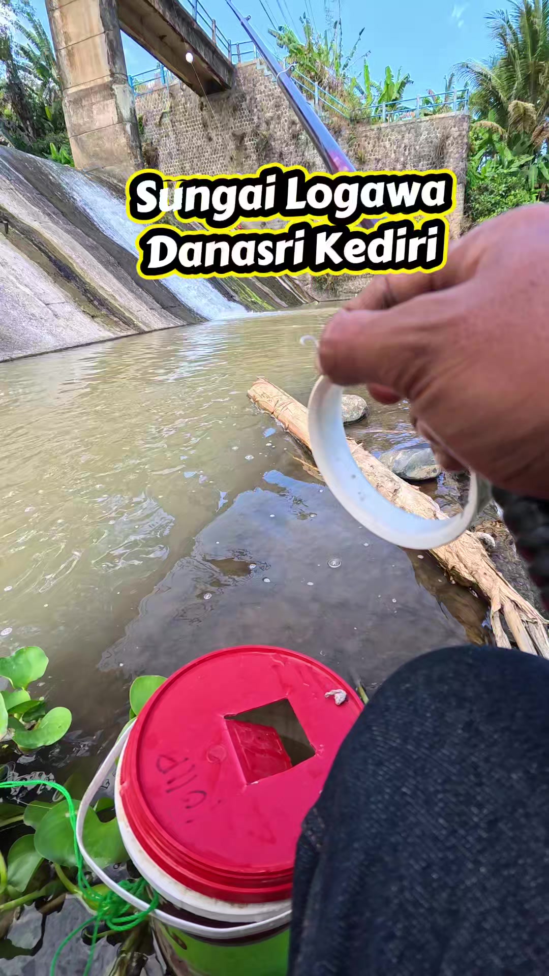 @Gasle Fishing