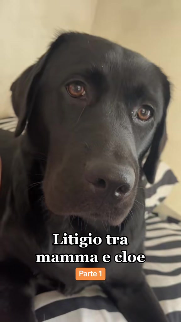 @Cloe e sabry🖤🐾
