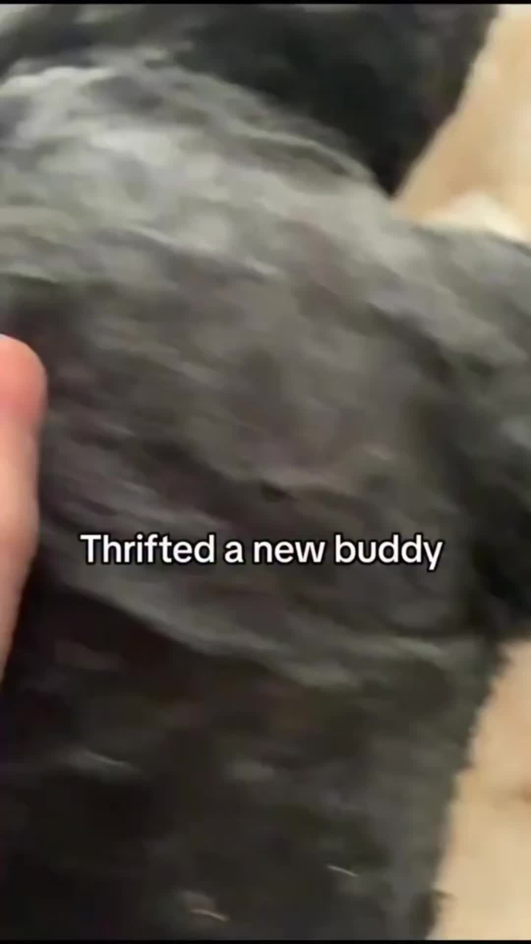 @Bigdaddyleo