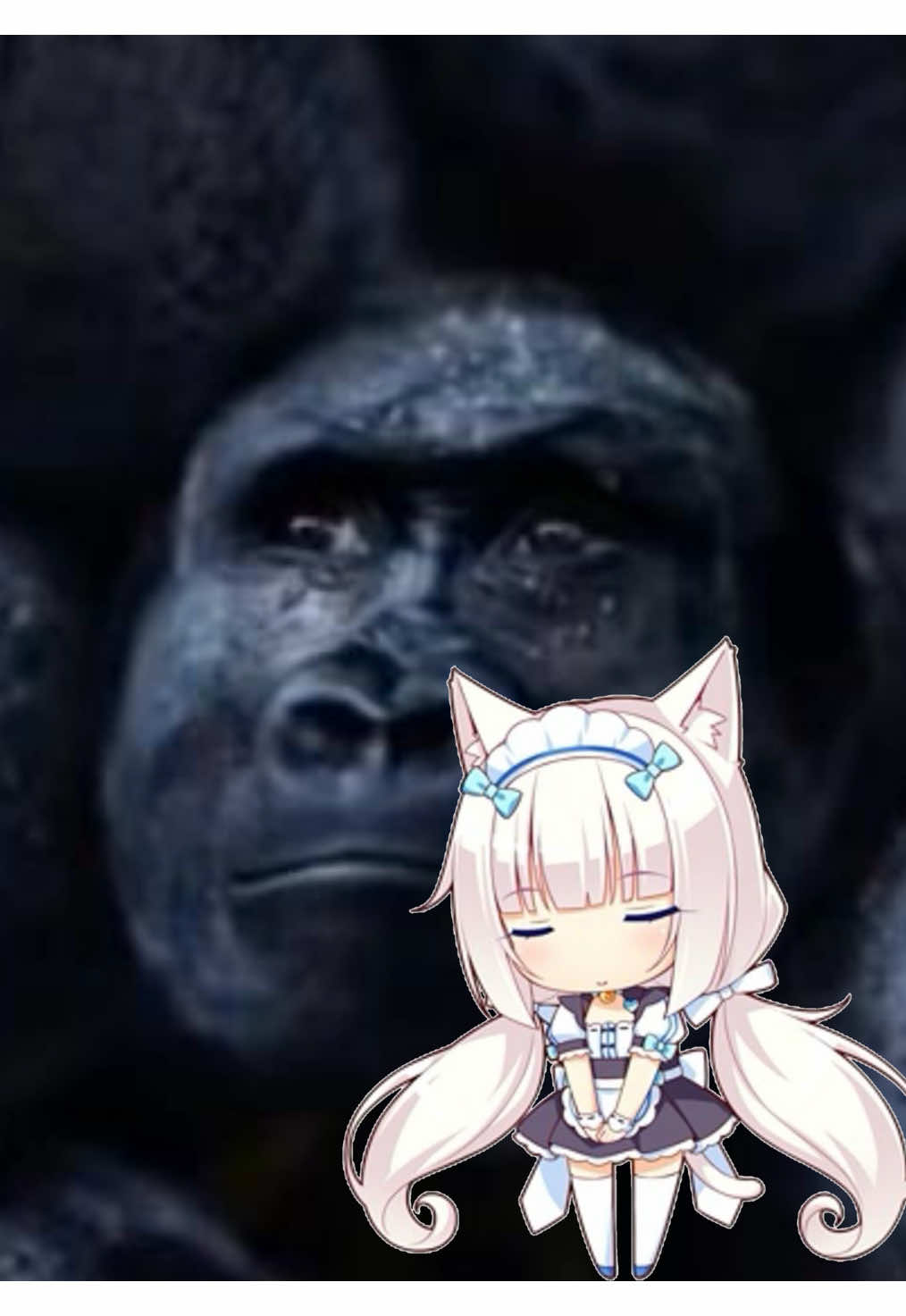 @˚.⋆꒰১ Sabrina ໒꒱⋆.˚