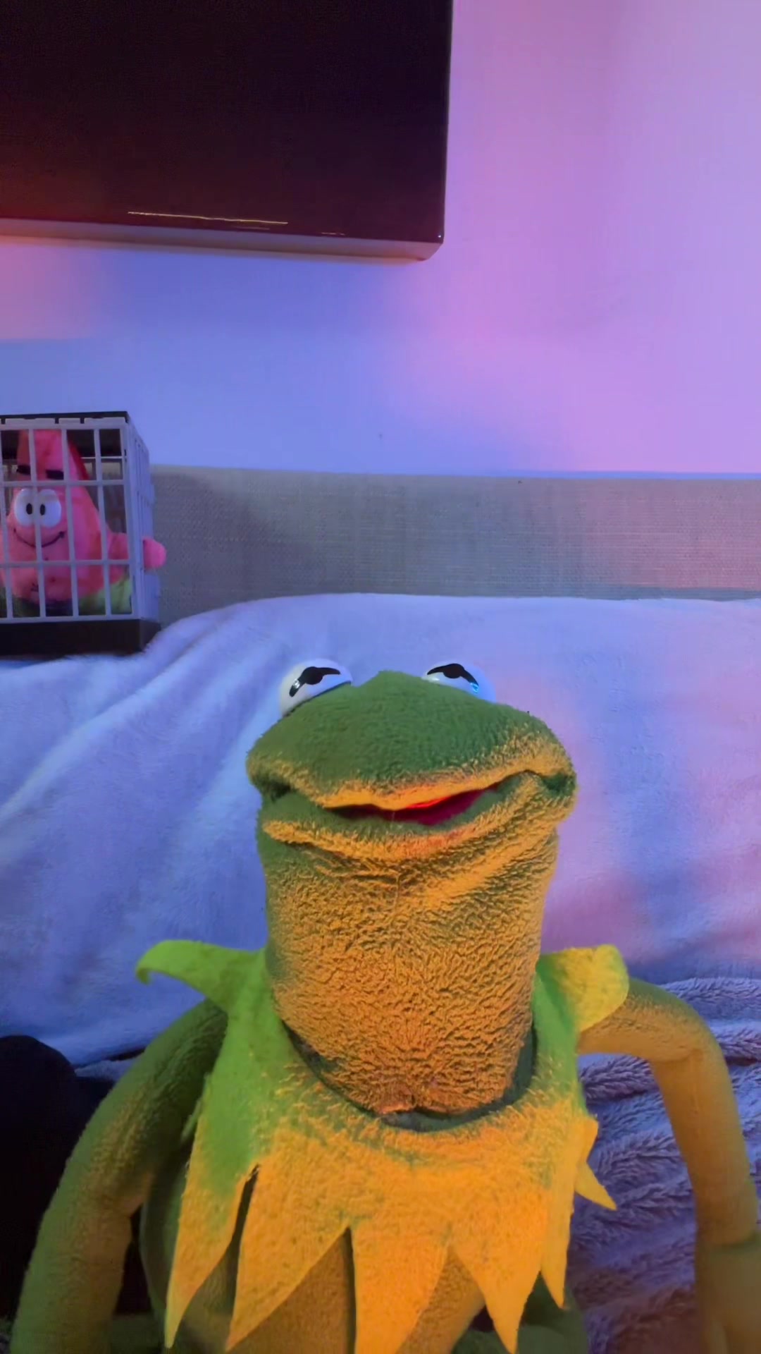 @🐸 Crashout Kermy 🐸