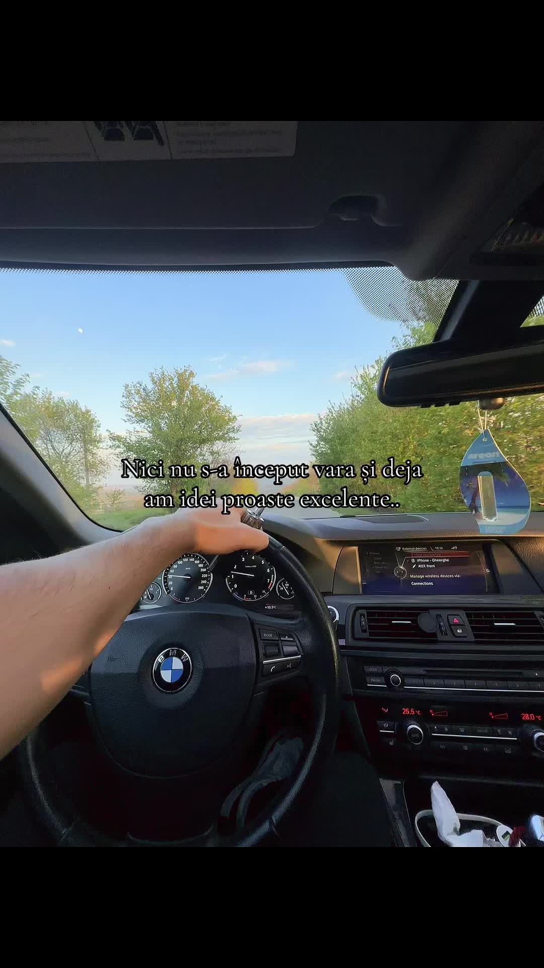 @Tomuleț _12
