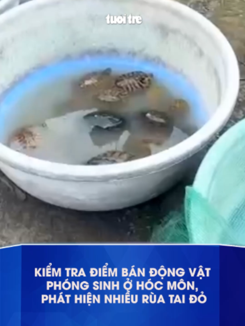 @Báo Tuổi Trẻ