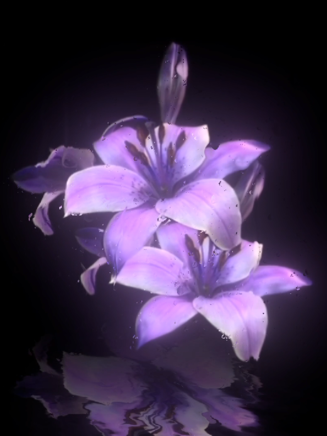 @𝐌𝐔𝐒𝐈𝐂 𝐌𝐄𝐃𝐄𝐑𝐎