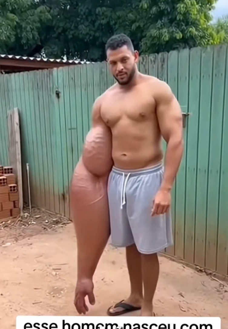 @felpzoficial