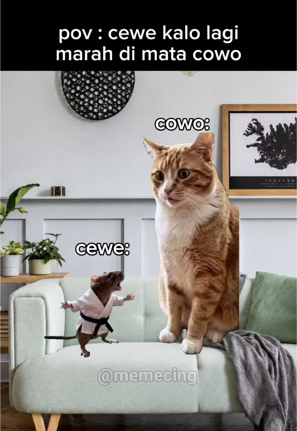 @Memecing