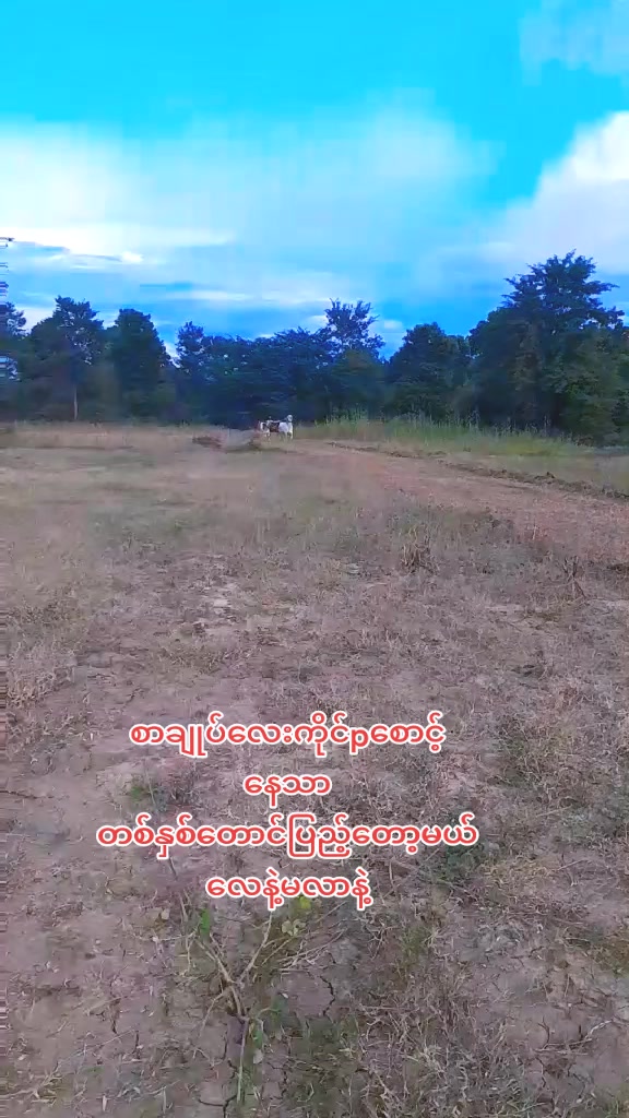 @THAN ZAW WIN