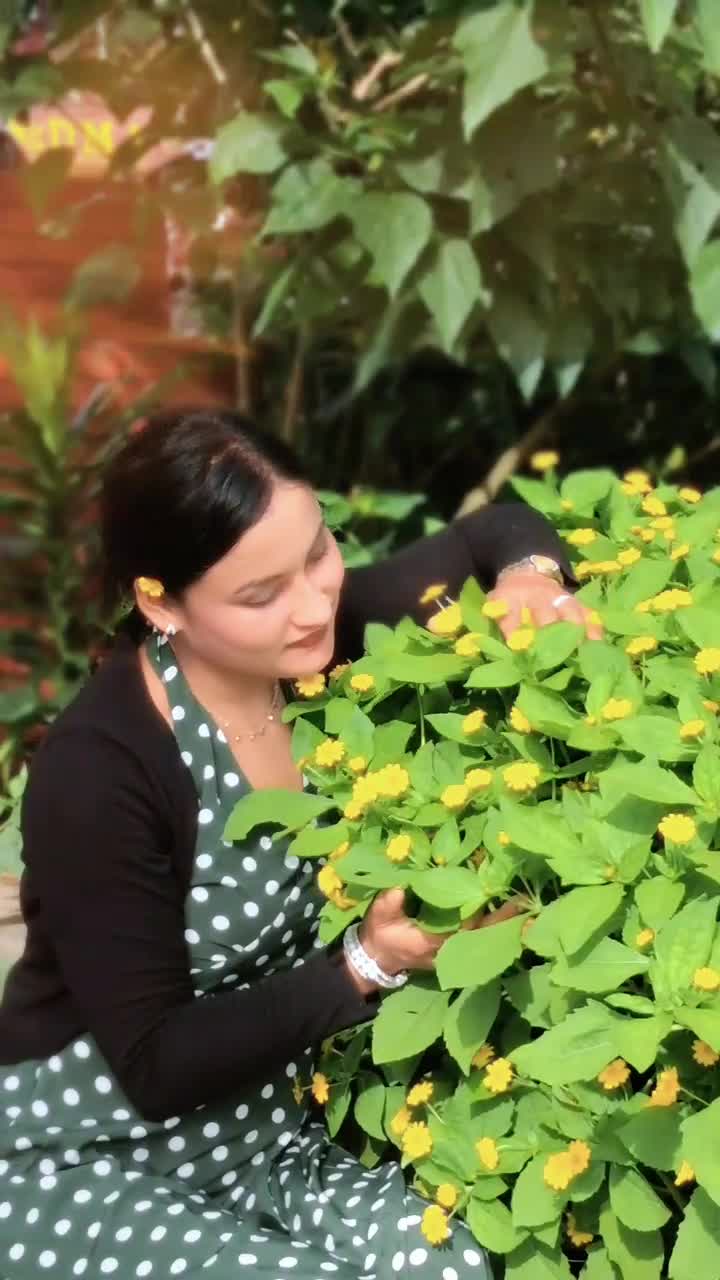@💫कुSuम💫
