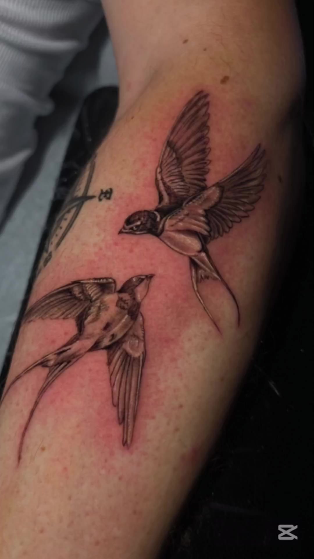 @Luis Garc&iacute;a Tattooist&reg;