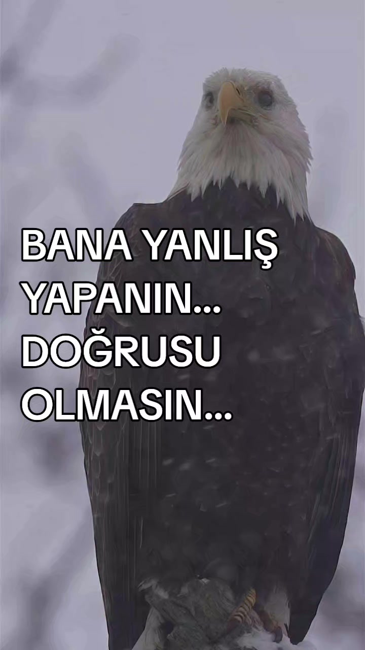 @__İREM__