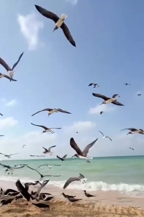 @المصورة رنابنت محمد📸📱