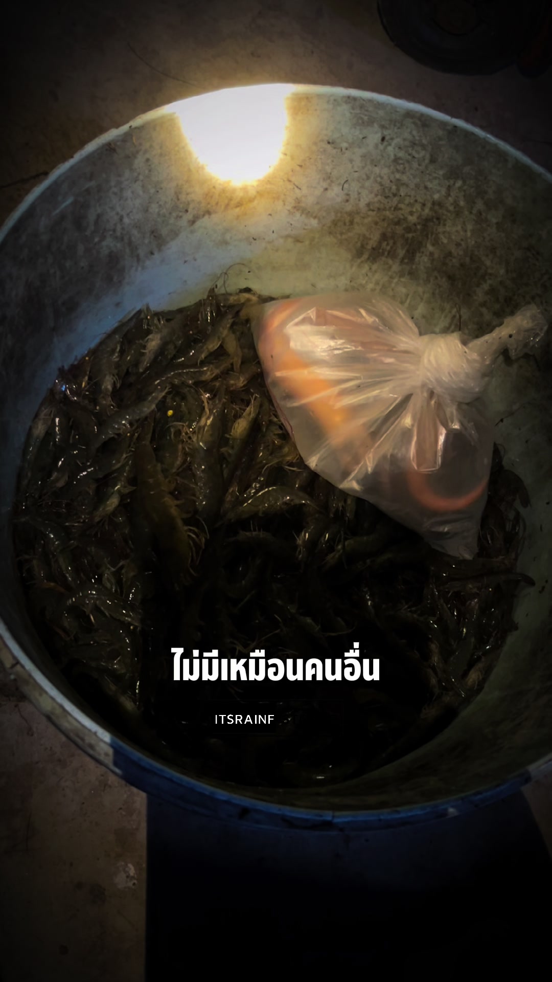 @ก ไอแซม ไง จะใครละ