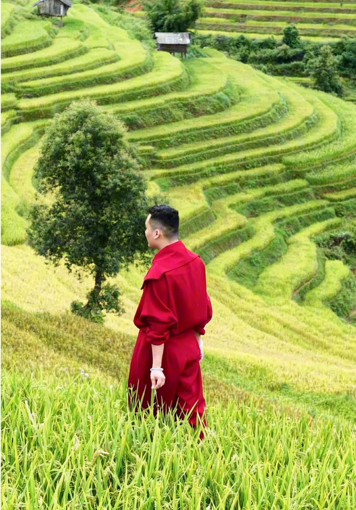 @Cô Học Chăm Da