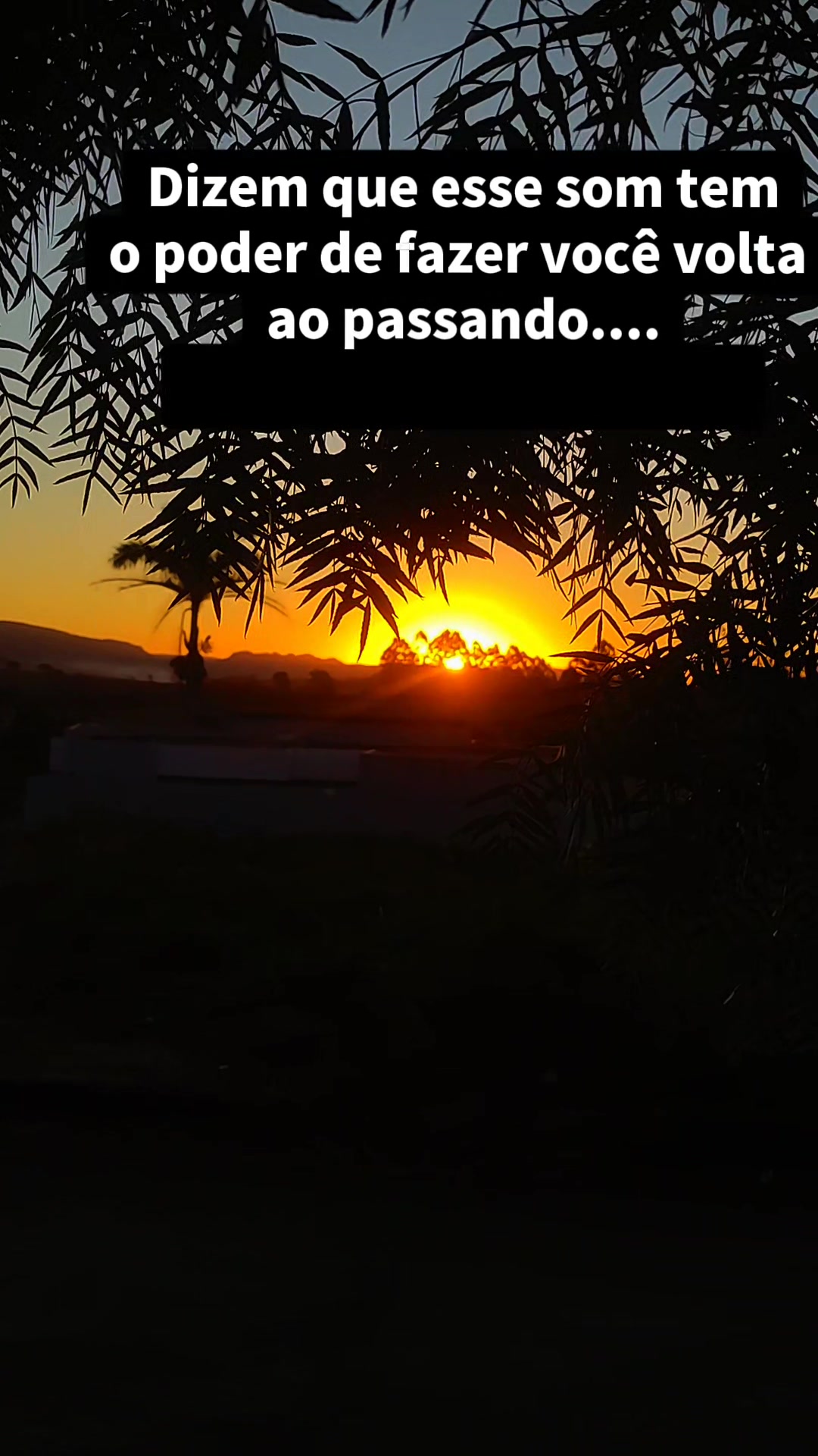 @Vida_M&uacute;sicalofc