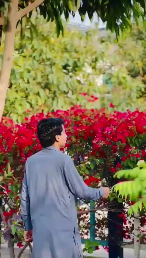 @Sirajlaaa 56