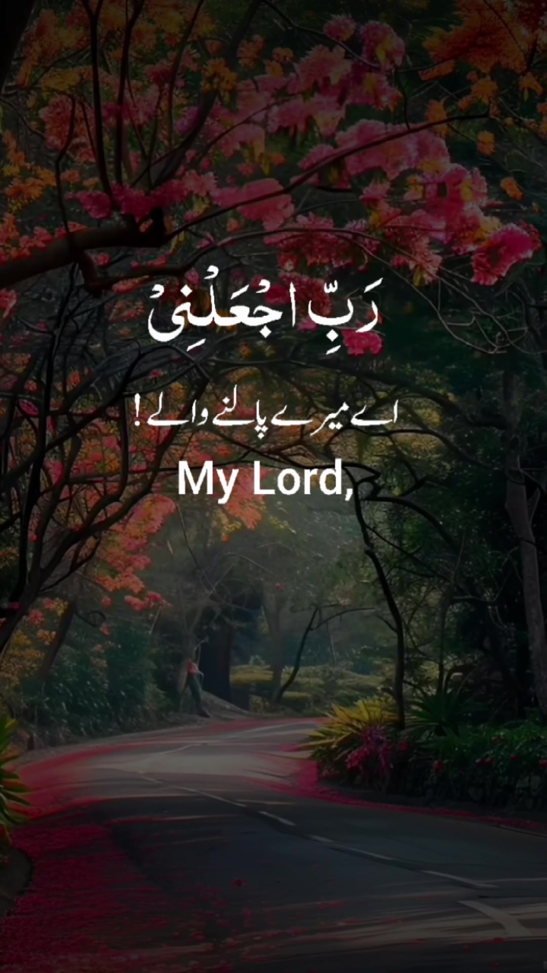 @❣️ Words of Allah ❣️