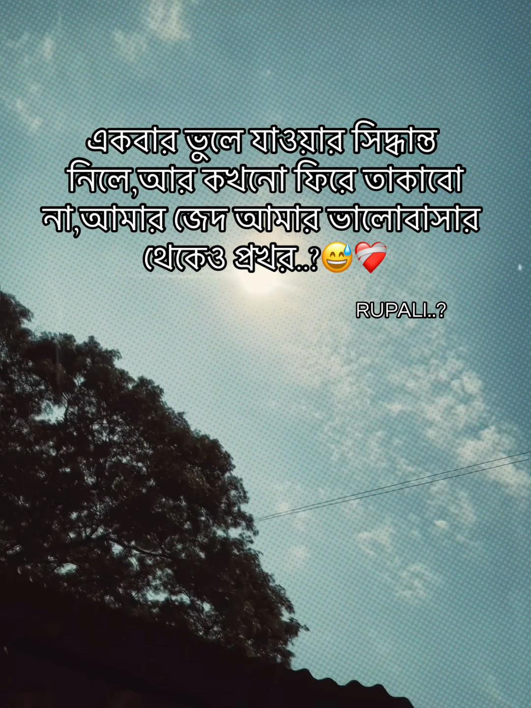 @✨_RUPALY_✨