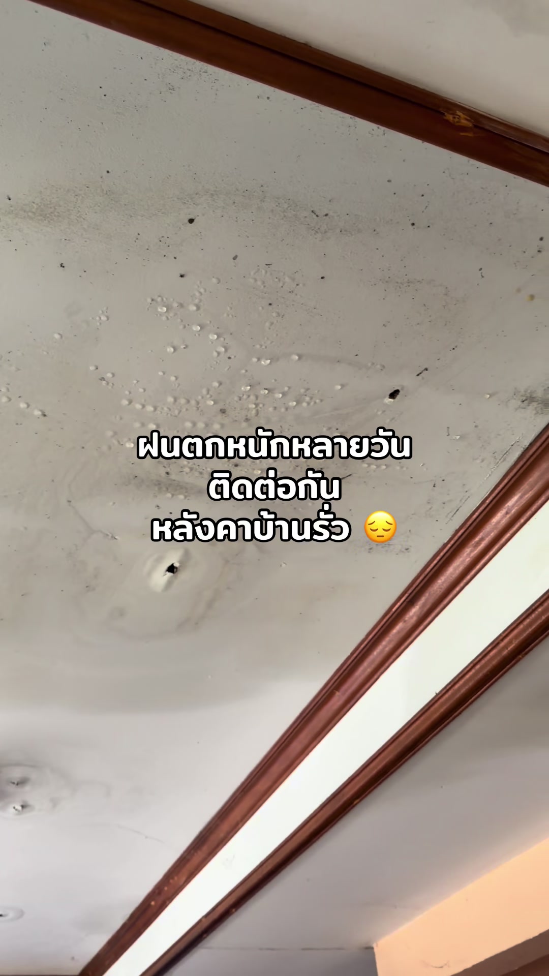 @adminphung