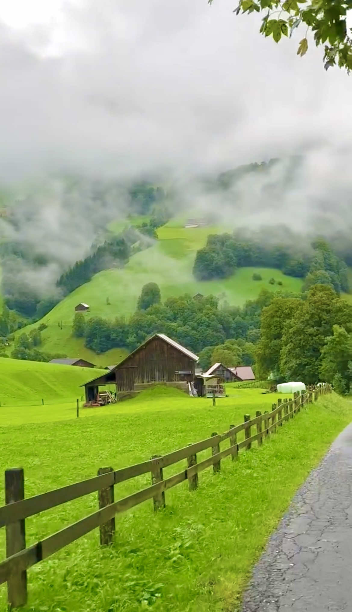 @swisstours